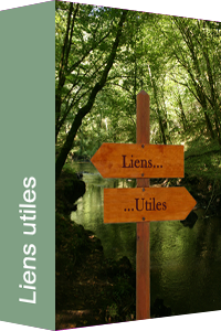 Liens Utiles